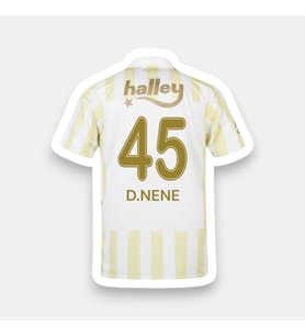 D.Nene-45 Fênerbâhçe 26-27 Yeni Sezon Yetişkin Futbol Forması