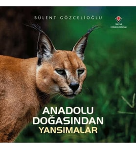 Anadolu Doğasından Yansımalar