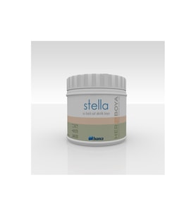Bianca Stella Su Bazlı Boya 0.50LT 0101 Beyaz