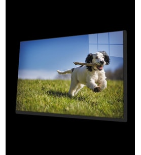 Köpek 3 Cam Tablo