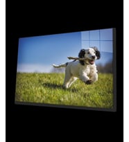 Köpek 3 Cam Tablo