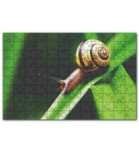 Cakapuzzle Yeşil Yaprak Üzerindeki Salyangoz Çekim Puzzle Yapboz MDF (Ahşap) (120 Parça)