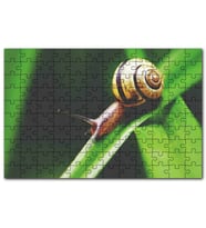 Cakapuzzle Yeşil Yaprak Üzerindeki Salyangoz Çekim Puzzle Yapboz MDF (Ahşap) (120 Parça)