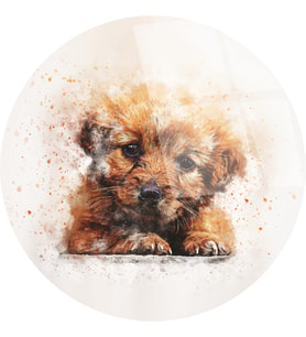 Sevimli Köpek Cam Tablo