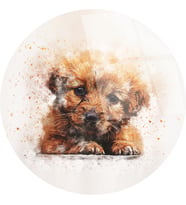 Sevimli Köpek Cam Tablo