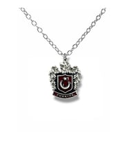 Bozkurt Logolu Türk Bayraklı Kolye – Gümüş Renk Unisex Metal Takı