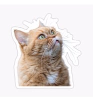Araba Leptop için Kedi Oto Sticker Yapıştırması Etiket  17CM z3
