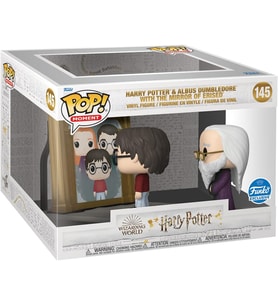 Funko 63144 Harry Potter Ve Albus Dumbledore Erised Figür Aynalı Çok Renkli (Krem)