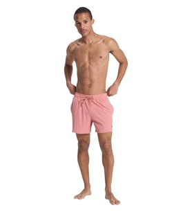 Quiksilver Everyday Erkek Deniz Şortu