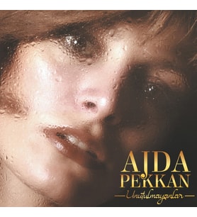Ajda Pekkan Unutulmayanlar LP Plak (Karışık)