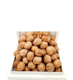 KAHRAMANMARAŞ KABUKLU CEVİZ (MARAŞ18) 1 KG