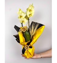 2 Dal Yellow Orkide