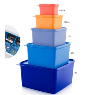 Tupperware Renkli Dikdörtgen Saklama Kabı  5 li Set ESC