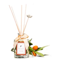 110 ml Silindir Şişe Spice Orange Oda Kokusu