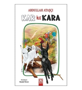 Kar ile Kara