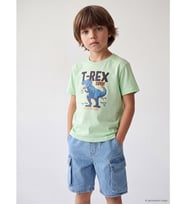 LCW Kids Yeşil Bisiklet Yaka Baskılı Erkek Çocuk Tişört