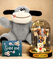 Kişiye Özel 3 Fotoğraflı & Yazılı Led Işıklı Fanus ve Peluş Eşek Hediye Seti