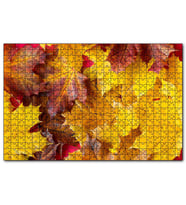 Cakapuzzle arı Dökülmüş Sonbahar Yaprakları Yakın Çekim  Puzzle Yapboz MDF (Ahşap) (120 Parça)