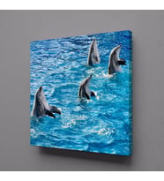 YUNUS BALIKLAR KANVAS TABLO 25x25cm (Karışık)