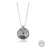 Swarovski Crystal Taşlı Çerçeveli Gümüş Kadın Kolye