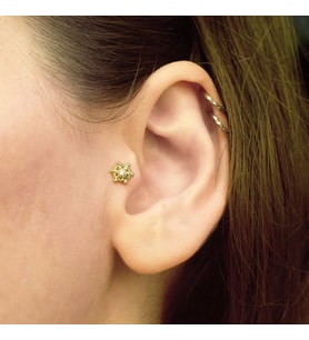 Gemi Dümeni Tragus Küpe (Gold)