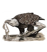 Kartal içme suyu kalem ve mürekkep sanat vinil çıkartma