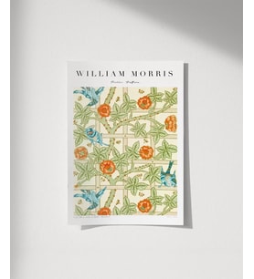Çerçevesiz Poster William Morris Kafes Deseni
