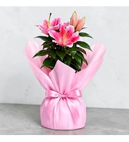 Lila Pembe Buketli Polimer Saksıda Pembe Lilyum