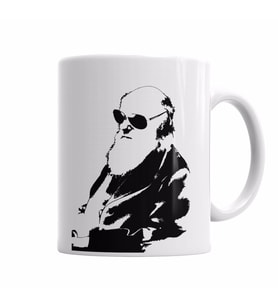 Darwin Kupa Bardak Porselen