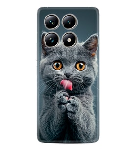 Xiaomi Redmi Note 14 Pro Plus Kılıf Boutique Baskılı Resimli Komik Kedi Pcode -008