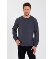 Bisiklet Yaka Etiket Detayı İçi Pamuklu Erkek Sweatshirt (Antrasit)