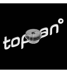 Audi A4 B5 (8D2) 1.9 TDI 1996-2000 2.8 Quattro 1995-2001 A4 B5 Avant (8D5) Salıncak Burcu Arka 22200