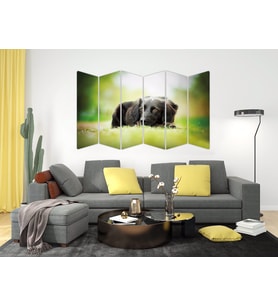 KÖPEK MDF TABLO-2655 MODEL-B