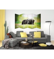 KÖPEK MDF TABLO-2655 MODEL-B