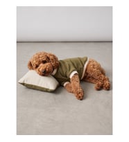 Natura Cozy Pati & Yastık Nefti Yeşil Polar Köpek Sweatshirt ve Mini Yastık 3 Parça