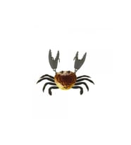 Japanese Yengeç Crab HG2562