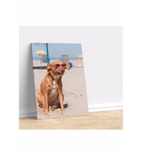 Kumsalda Köpek Temalı Kanvas Tablo