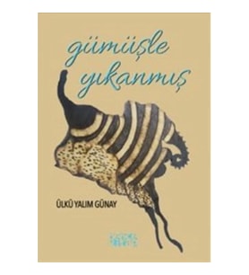Gümüşle Yıkanmış