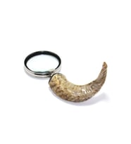 Kişiye Özel Pirinç Boynuz Saplı Büyüteç KSK14 - 30x13cm