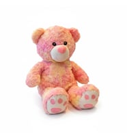 PELUŞ 45CM RENKLİ AYI