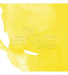 Daler Rowney Aquafine Watercolour İnk Sulu Boya Mürekkebi 29.5ml 620 Cadmium Yellow Hue