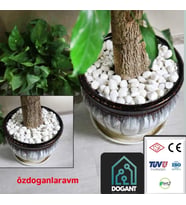Dolomit Saksı Dere Çakıl Beyaz Taş  2 Kg