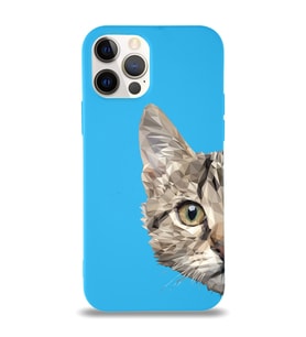 Apple iPhone 12 Pro Uyumlu Lansman Kılıf Catface Tasarımlı Altı Kapalı İçi Kadife Kaplı  Kapak (Şeffaf)