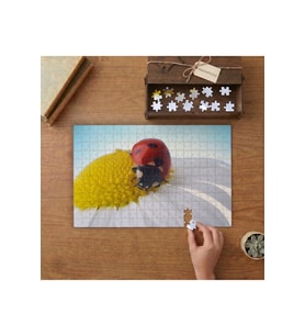 Papatyanın Üstünde Uğur Böceği Tasarımı 240 parça Ahşap Puzzle Ahşap Kutuda MP09428