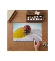 Papatyanın Üstünde Uğur Böceği Tasarımı 240 parça Ahşap Puzzle Ahşap Kutuda MP09428