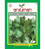 D`Giant Italiana(İthal) Maydanoz Tohumu 25 Gr