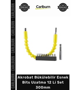 Özel Üretim Profesyonel Dar Alan Vidalama Ucu Akrobat Bükülebilir Esnek Bits Uzatma 12 Li Set 300mm