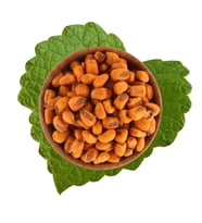 Soslu Mısır 500 g (STD)