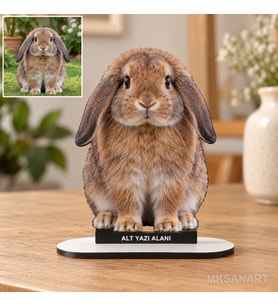 Fotoğraftan Tasarlanan Evcil Hayvan Fotoğraflı MDF Karikatürlü 18 cm MDF Masaüstü Biblo - Masaüstü Hediye 4. Model