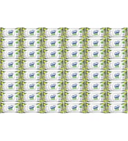 Solo Islak Havlu Mendil 50 Yaprak Limon & Biberiye (48 Li Set) (16PK*3) 2400 Yaprak